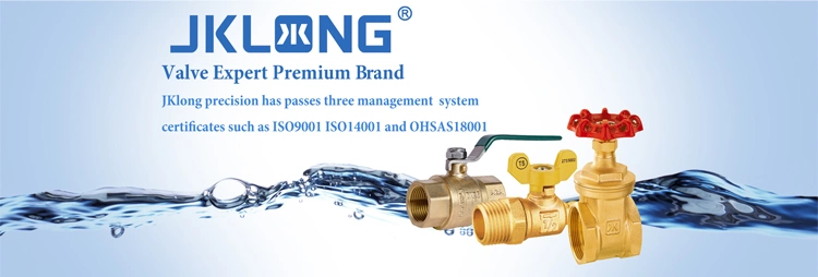 High Quality Valve OEM ODM Factory Brass Mini Ball Valve